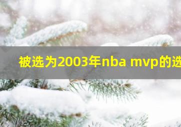 被选为2003年nba mvp的选手